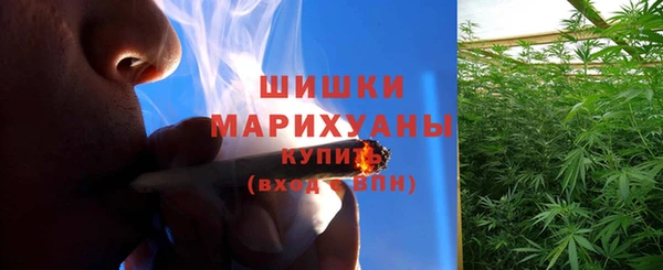 амф Протвино
