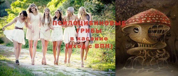 ALPHA-PVP Пролетарск