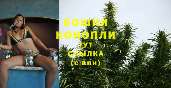 амф Протвино