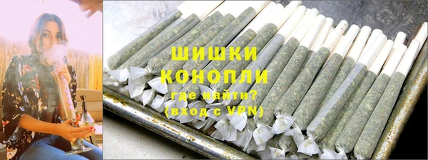 амф Протвино