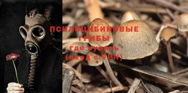 ALPHA-PVP Пролетарск