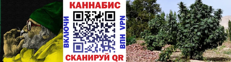 где можно купить   Агрыз  Бошки Шишки марихуана 